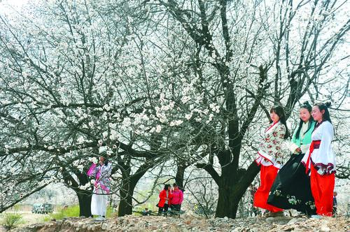 搜球体育赛事覆盖足球篮球电竞